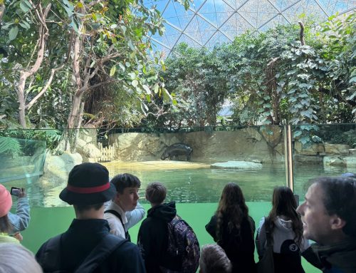 Rückblick Osterkurs 2026