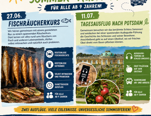 🌞🚍 Zwei spannende und kostenlose Sommerausflüge warten auf euch! 🚍🌞